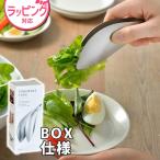 leye レイエ ゆびさきトング(とりわけトング) BOX仕様 TN1361 日本製 キッチンツール 食洗機対応 乾燥機対応 ステンレス 日本製