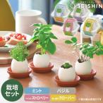  культивирование комплект культивирование комплект . новый керамика eg кольцо eko EG-60