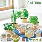  культивирование комплект культивирование комплект . новый керамика кошка Fuji ... Mitsuba перилла mizna лук-батун 