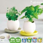  культивирование комплект культивирование комплект . новый керамика eggling &amp; sauce мята базилик лесная земляника 4 . лист. clover 