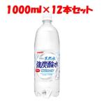 「優良配送対応」「日本サンガリア」 伊賀の天然水強炭酸水 1L PET ケース 1000ml×12本