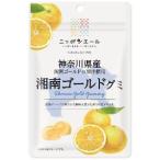 [ продается в комплекте ][ вся страна сельское хозяйство . еда ] Kanagawa префектура производство Shonan Gold gmi40g 10 шт. комплект 