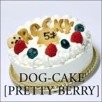 レストランの犬用ケーキ「プリティー・ベリー」