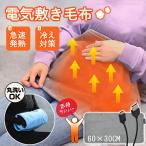 電気毛布 電熱 ひざ掛け 肩掛け ブランケット 冬用 暖かい USB式 自動電源オフ 丸洗い可 防寒対策 省エネ 節電 オフィス 冷え対策 おしゃれ