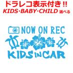  ho n Гаваи Kids in car baby in car стикер do RaRe ko отображать есть Kids Bay Be модный регистратор пути (drive recorder) .. движение предотвращение 