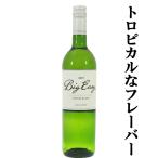 【印象的なトロピカルなフレーバー！】　アーニー・エルス　ビッグ・イージー　ホワイト　シュナン・ブラン　白　750ml(1-V2490)(スクリューキャップ)