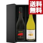 みずみずしい果実の風味が印象的なイ...