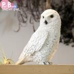 PET BANK VtNE  CeA u 킢  ybg JAZAt SNOWY OWL magnet }Olbg