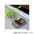 蝶プラ工業 612160 ベランダサンダルカバーフタバ