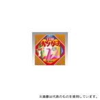 トーヨー 2002 千羽鶴用おりがみ