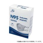アズワン 641731 3Q個包装マスク N95 10枚入