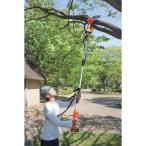  Family * жизнь NEW заряжающийся беспроводной 2WAY высота ветка цепная пила 8 позиций комплект + предварительный аккумулятор [04287][ наличие есть ]fa Mira 