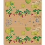 kami коммерческое предприятие Elmore Kazaru×Krafty натуральный [ одиночный товар внутри емкость /5 шт ]