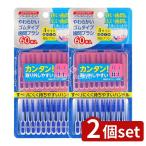 [2 шт. комплект ] зубной Pro зубной Pro soft Raver pick [ одиночный товар внутри емкость /60шт.@]