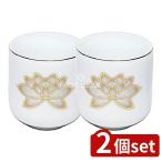 [2 шт. комплект ] maru es белый сверху золотой - s горячая вода .1.6 размер [ одиночный товар внутри емкость /1 шт ]