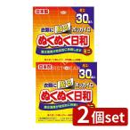 【2個セット】興和 ホッカイロ ぬく