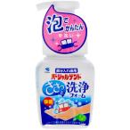  Kobayashi производства лекарство partial tento мойка пена [ одиночный товар внутри емкость /250ml]