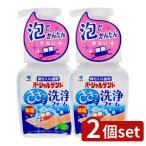 [2 шт. комплект ] Kobayashi производства лекарство partial tento мойка пена [ одиночный товар внутри емкость /250ml]