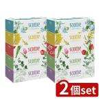 [2 шт. комплект ] сделано в Японии бумага kresia Scotty цветок box 250W [ одиночный товар внутри емкость /5 шт ]