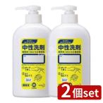 [2 шт. комплект ] Kao Pro [ пустой контейнер ] средний . моющее средство для бизнеса .... контейнер 1ML насос модель [ одиночный товар внутри емкость /400ml]