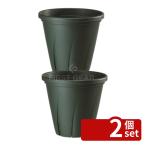 [2 шт. комплект ] Yamato пластик корень. . горшок 5 номер темно-зеленый садоводство сопутствующие товары садоводство горшок посадочная машина 