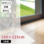  Мэйва gravure изоляция занавески подкладка Lee bs100cm×225cm×2 листов [ наличие есть ]