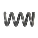 ショッピング鉄玉子 パール金属 HC-0709 Feサプリ コイル | 鉄分補給 サプリ 鉄分 コイル パール金属 HC-709 日本製 鉄 玉子 なす きゅうり 色付け 貝類 漬物 調理簡単 簡単調理 鉄