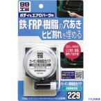 ■SOFT99 カーボン繊維配合パテ 80g 09229(2070274)