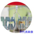 #IWATAnochi направляющие (10 штук ) HNR70X5.043-P(6311630)[ стоимость доставки отдельный предварительный расчет .][ юридическое лицо ограничение ][. вне посылать за ]