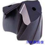 ■GUHRING BT 800 パイロット穴加工用ドリルヘッド ホルダサイズ160用 816216.200(7362988)[送料別途お見積り][法人限定][掲外取寄]