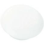 ■TRUSCO カラーマグネット(6個入) 白 20パイ TCM206W(8566843)