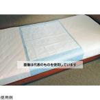 TTS одноразовый непромокаемая простыня . вода количество 700mL 6 листов входит входить число :1 пакет (6 листов входит )