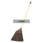 庭ホーキ ブルロン AS ほうき 200×730 