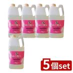 【5個セット】ミマスクリーンケア 緑の魔女 ランドリー 柔軟剤入り 業務用 [単品内容量/2kg]