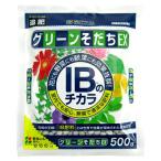 花ごころ IBのチカラグリーンそだちEX 500g 肥料 [4977445053907]