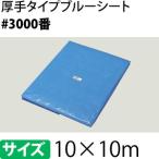 ブルーシート 厚手 #3000 10×10m [重量約14.27kg/1枚入] 約60.5畳/ハトメ数44(90cmピッチ) 【在庫有り】