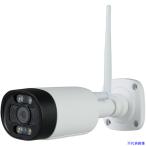 ■アーテック 防犯カメラ 屋外タイプ(センサーライト付) 52352(5224295)[送料別途お見積り][法人限定][外直送]