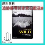 にんにく卵黄WILD やずや 310mg球×62球入り