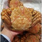  четырёхугольный волосатый краб 400g / 1 хвост Hokkaido производство сырой еда для Boyle .. ножек поломка но . ввод жарение gani