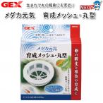 パケパフ350　GEX　メダカ元気　育成メッシュ・丸型