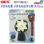 パケパフ350円GEX メダカ水景 メダカのお守り草 スイレン