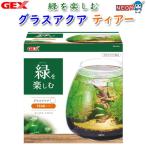 ガラス水槽