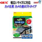 GEX カメ元気 カメの島ロフトタイプ