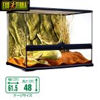 (爬虫類　用品)GEX　グラステラリウ