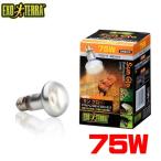  комплектация пуховка 350GEX EXO TERRA(ekizo tera ) солнечный свечение тугой Beams po карты 75W PT2136