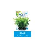 パケパフ350円GEX　癒し水景　たっぷりバコパ