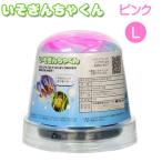 (アクアリウム 用品)カミハタ　いそぎんちゃくん　L　ピンク