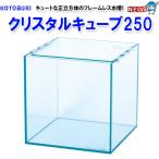 (アクアリウム 用品)コトブキ　クリスタルキューブ250
