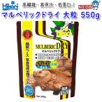 爬虫類、両生類のエサ