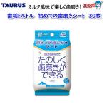 トーラス　歯垢トルト